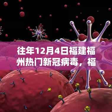 福建福州新冠病毒防控指南,初学者与进阶用户必备步骤(历年12月版详解)