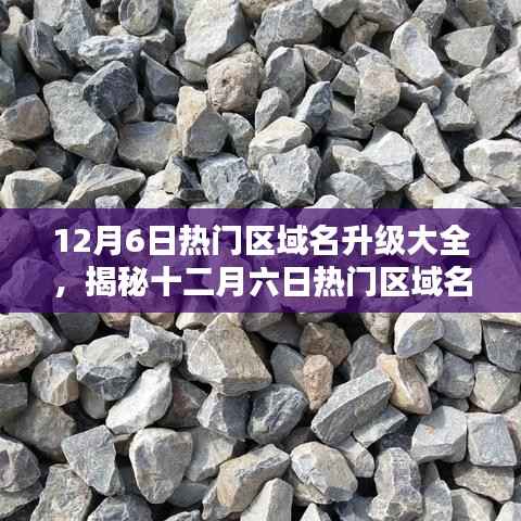 揭秘十二月六日热门区域名升级趋势，深度解析升级大全