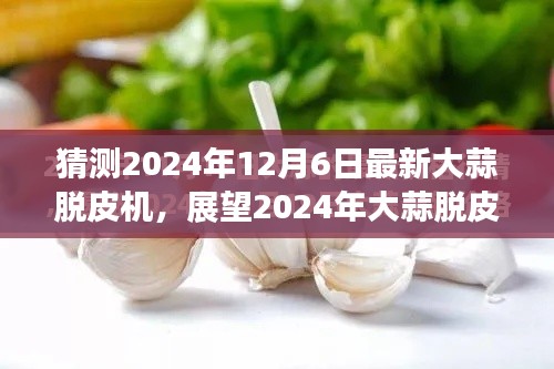 2024年大蒜脱皮机新技术革新展望,未来脱皮机的趋势与特点