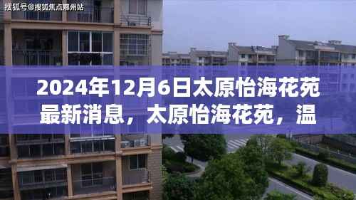太原怡海花苑,温馨日常的欢乐时光(最新消息更新,2024年12月6日)