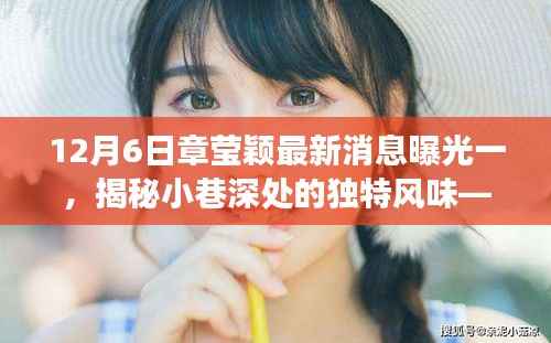 章莹颖揭秘隐藏宝藏小店,探寻小巷深处的独特风味新鲜故事