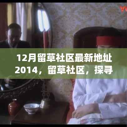 12月留草社区最新地址2014,留草社区,探寻变迁背后的真相与意义