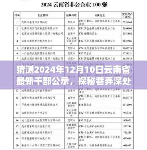 探秘巷弄深处,揭秘云南省干部公示动向与一家独特小店的故事(预测至2024年)