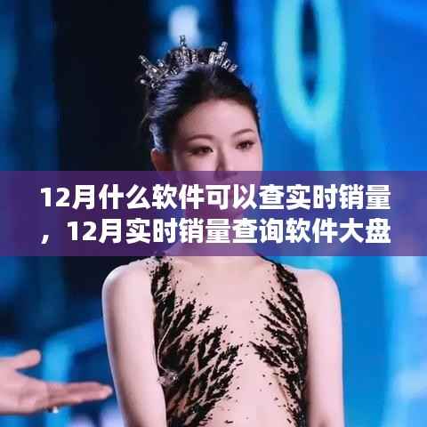 12月实时销量查询软件大盘点,深度解析销售数据透视与热门工具使用