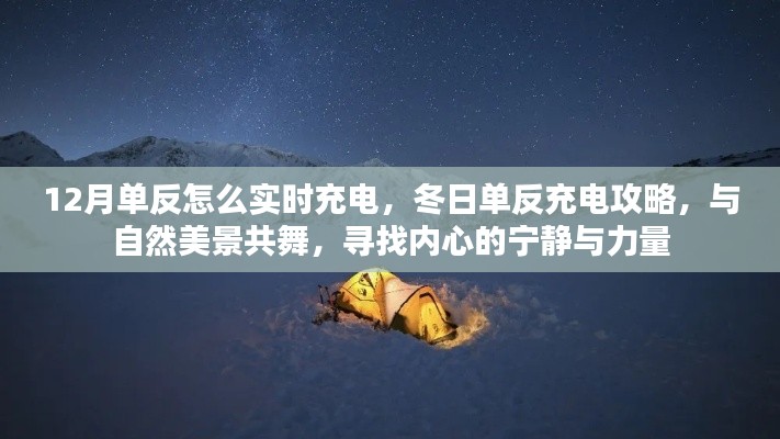 冬日单反充电指南,实时充电与自然美景的双重体验,探寻内心宁静与力量