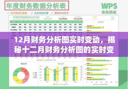 揭秘十二月财务分析图实时变动,洞悉要点,把握先机先机!