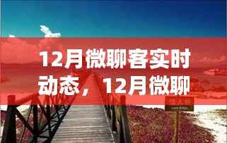 暖阳下的微聊客,12月实时动态与温情日常