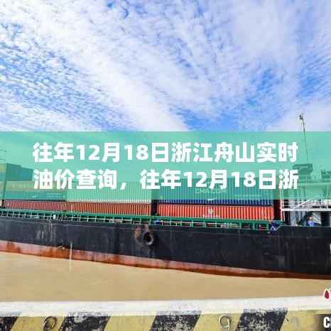 往年12月18日浙江舟山油价实时查询,洞悉波动,把握财富先机