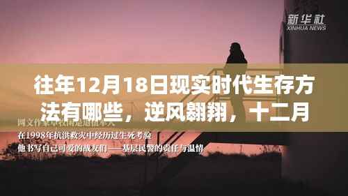 逆风翱翔,现实时代生存秘籍与生存方法指南