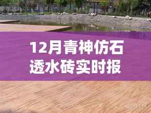 青神仿石透水砖深度测评与实时报价解析