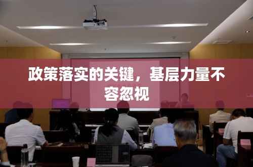 政策落实的关键,基层力量不容忽视