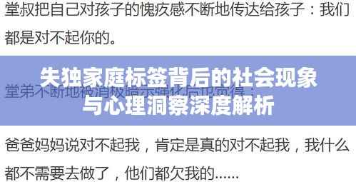 失独家庭标签背后的社会现象与心理洞察深度解析