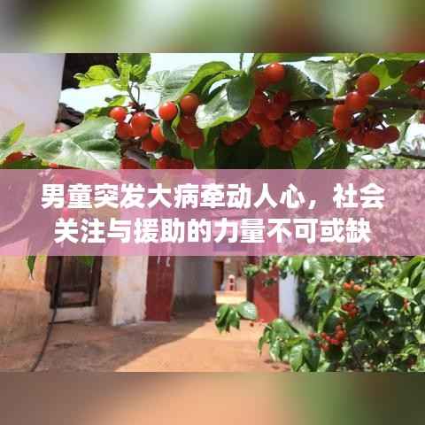 男童突发大病牵动人心,社会关注与援助的力量不可或缺