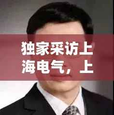 独家采访上海电气,上海电气原副总裁