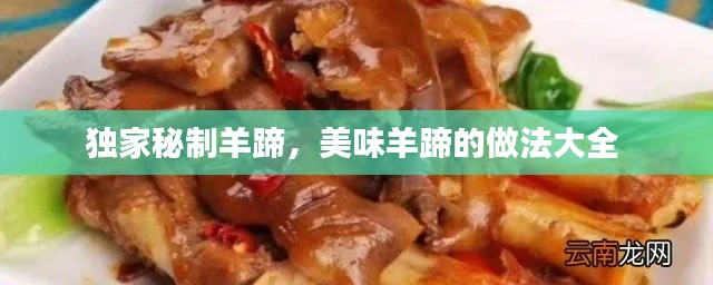 独家秘制羊蹄,美味羊蹄的做法大全