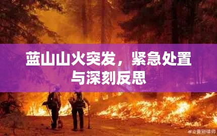 蓝山山火突发,紧急处置与深刻反思