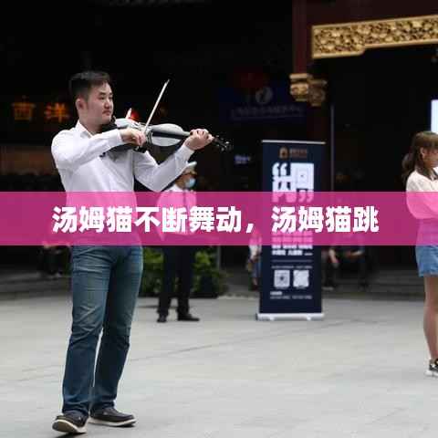 汤姆猫不断舞动,汤姆猫跳