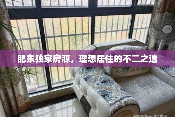 肥东独家房源,理想居住的不二之选