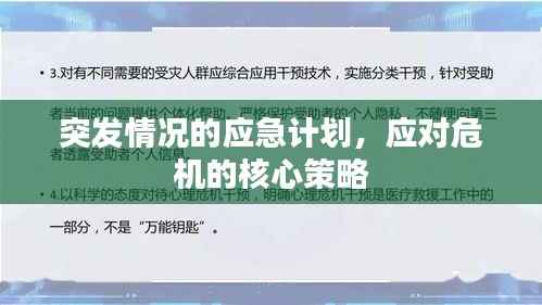 突发情况的应急计划,应对危机的核心策略