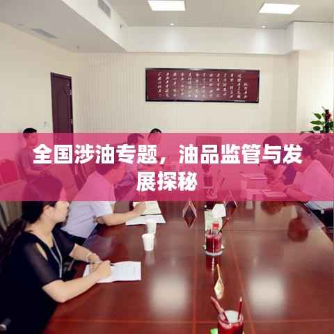 全国涉油专题,油品监管与发展探秘