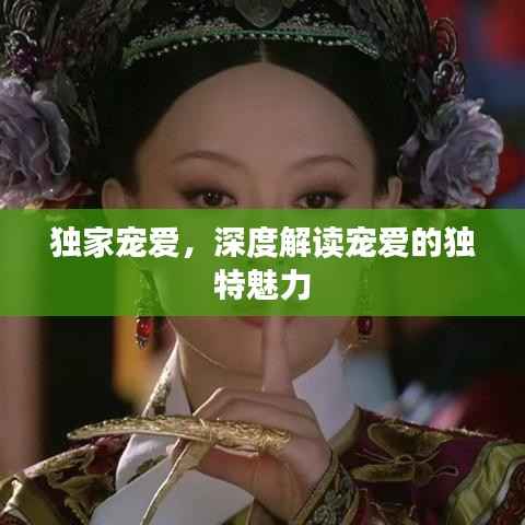 独家宠爱,深度解读宠爱的独特魅力