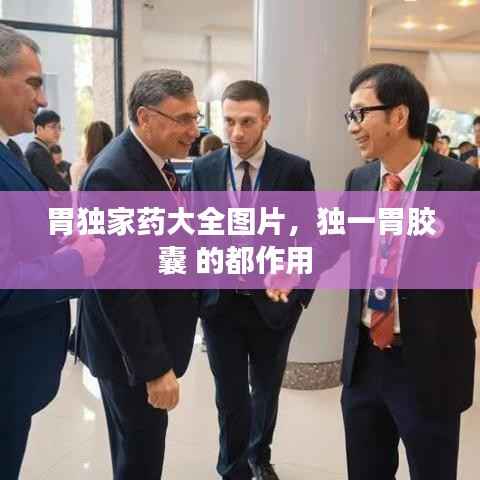 胃独家药大全图片,独一胃胶囊 的都作用