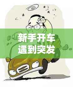 新手开车遇到突发,新手开车发生碰撞打什么电话