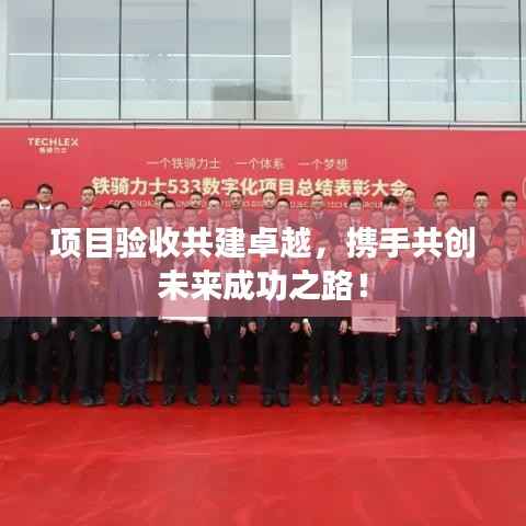项目验收共建卓越,携手共创未来成功之路!