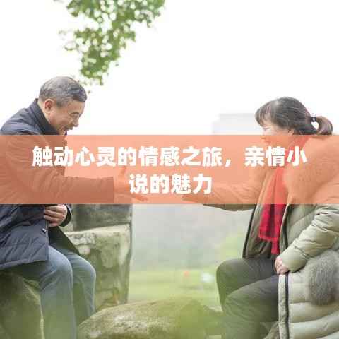 触动心灵的情感之旅,亲情小说的魅力
