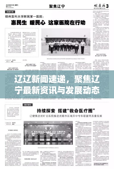 辽辽新闻速递,聚焦辽宁最新资讯与发展动态