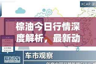 棕油今日行情深度解析,最新动态一网打尽