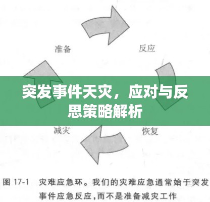 突发事件天灾,应对与反思策略解析