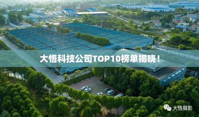 大悟科技公司TOP10榜单揭晓!