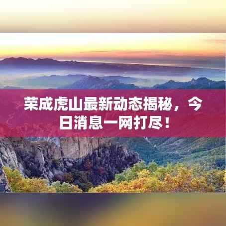 荣成虎山最新动态揭秘,今日消息一网打尽!