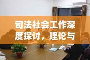 司法社会工作深度探讨,理论与实践结合的新视角
