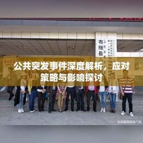 公共突发事件深度解析,应对策略与影响探讨