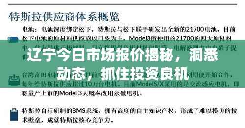 辽宁今日市场报价揭秘,洞悉动态,抓住投资良机