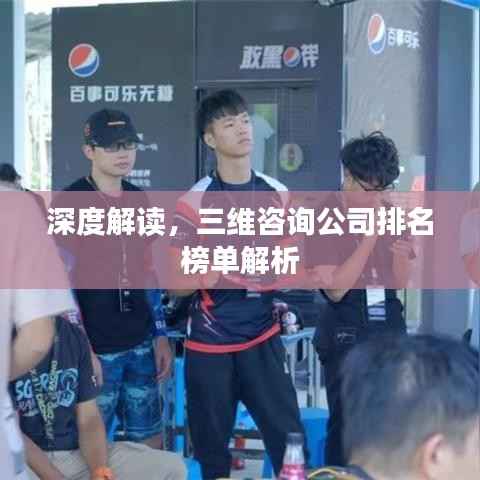深度解读,三维咨询公司排名榜单解析