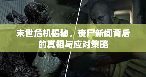 末世危机揭秘,丧尸新闻背后的真相与应对策略