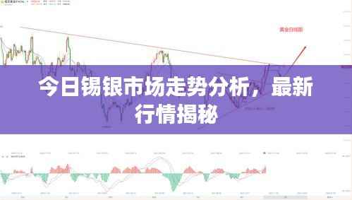 今日锡银市场走势分析,最新行情揭秘