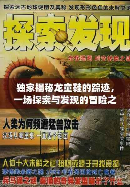 独家揭秘龙童鞋的踪迹,一场探索与发现的冒险之旅