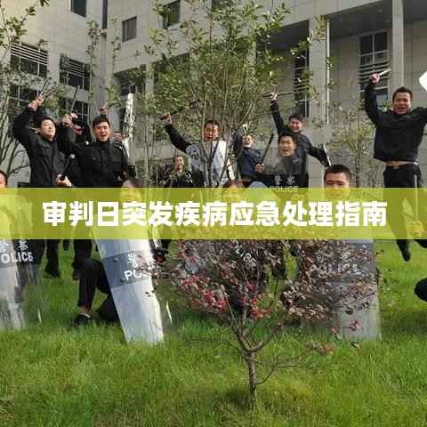 审判日突发疾病应急处理指南