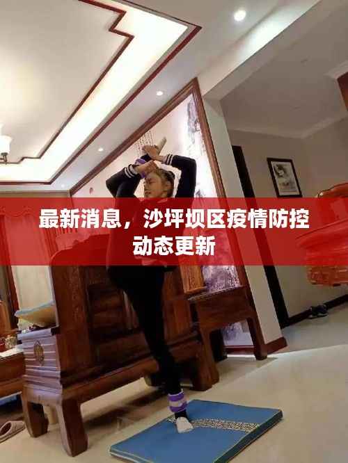 最新消息,沙坪坝区疫情防控动态更新