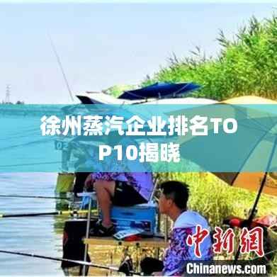 徐州蒸汽企业排名TOP10揭晓