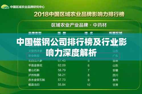 中国磁钢公司排行榜及行业影响力深度解析
