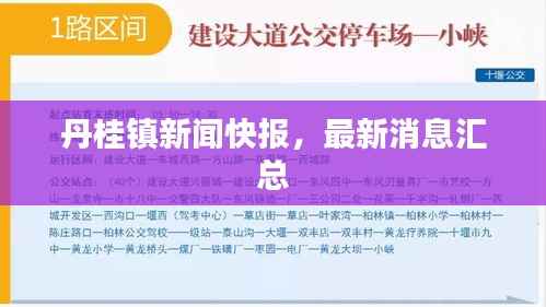 丹桂镇新闻快报,最新消息汇总
