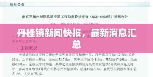 丹桂镇新闻快报,最新消息汇总