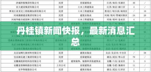 丹桂镇新闻快报,最新消息汇总