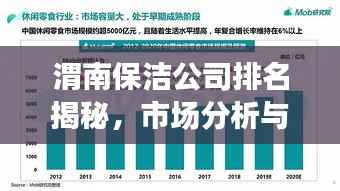 渭南保洁公司排名揭秘,市场分析与深度解读
