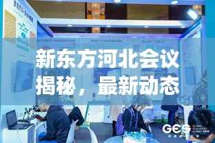 新东方河北会议揭秘,最新动态与行业展望